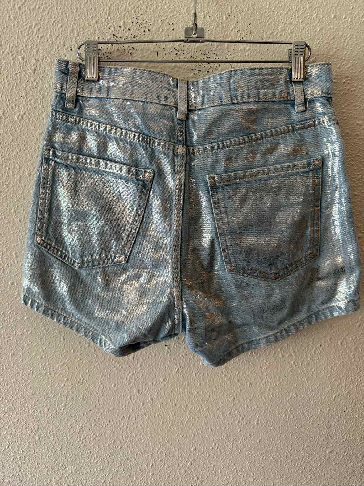 Zara Silver and Blue Size S Shorts