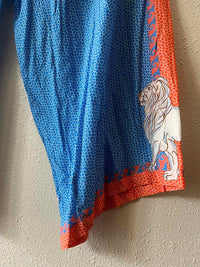 Johnny Was California blue and orange Size XL Pants