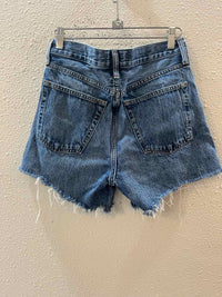 Agolde Medium Wash Size 25 Shorts