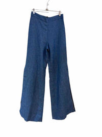 Alexis Blue Size XS Pants