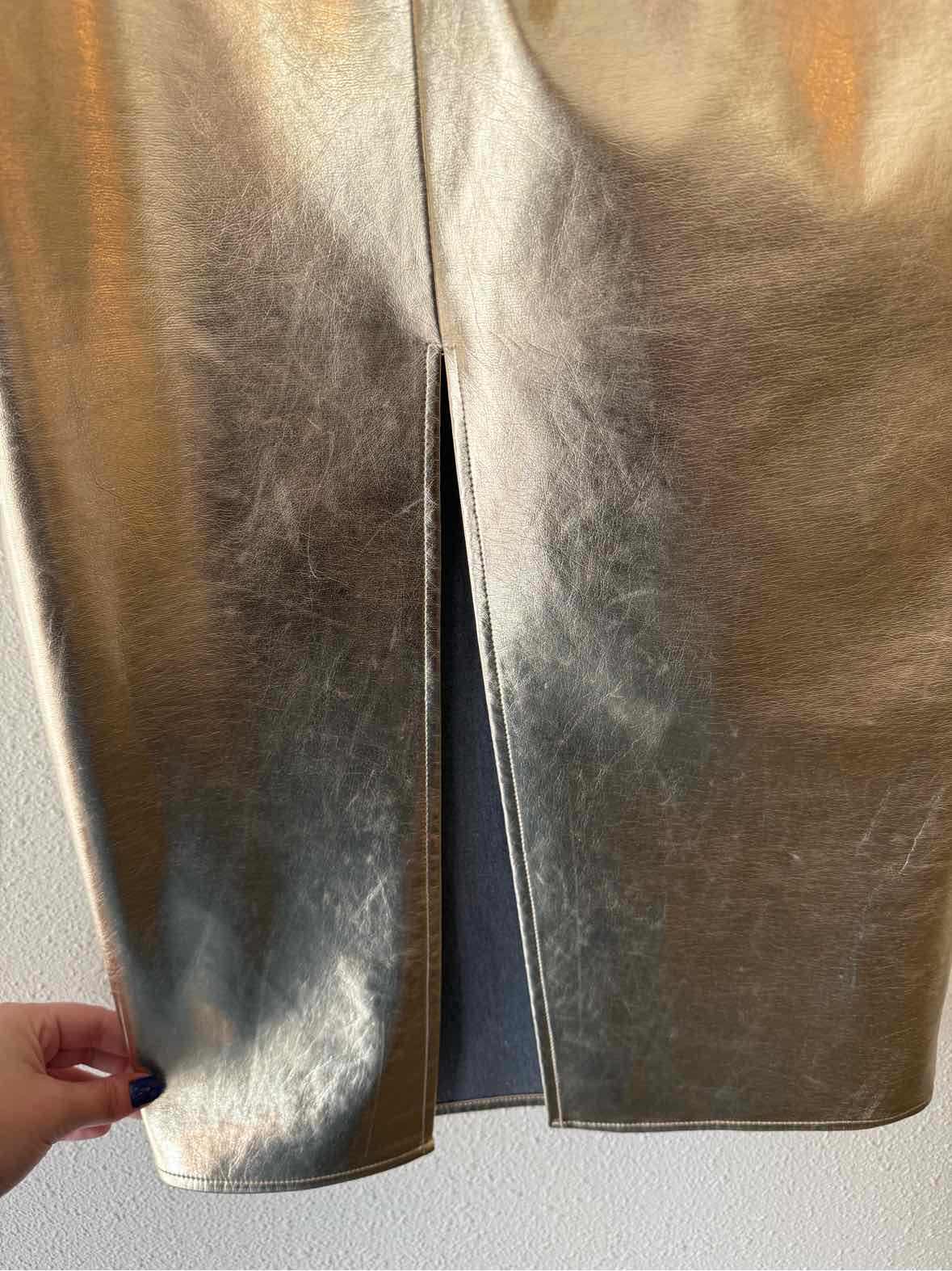 Endless Rose Metallic Size XS Skirt
