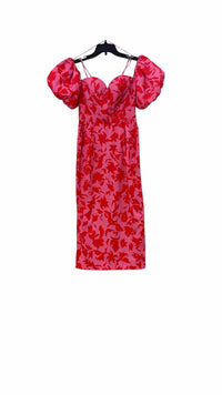 Amur Pink and Red Size 4 Dress