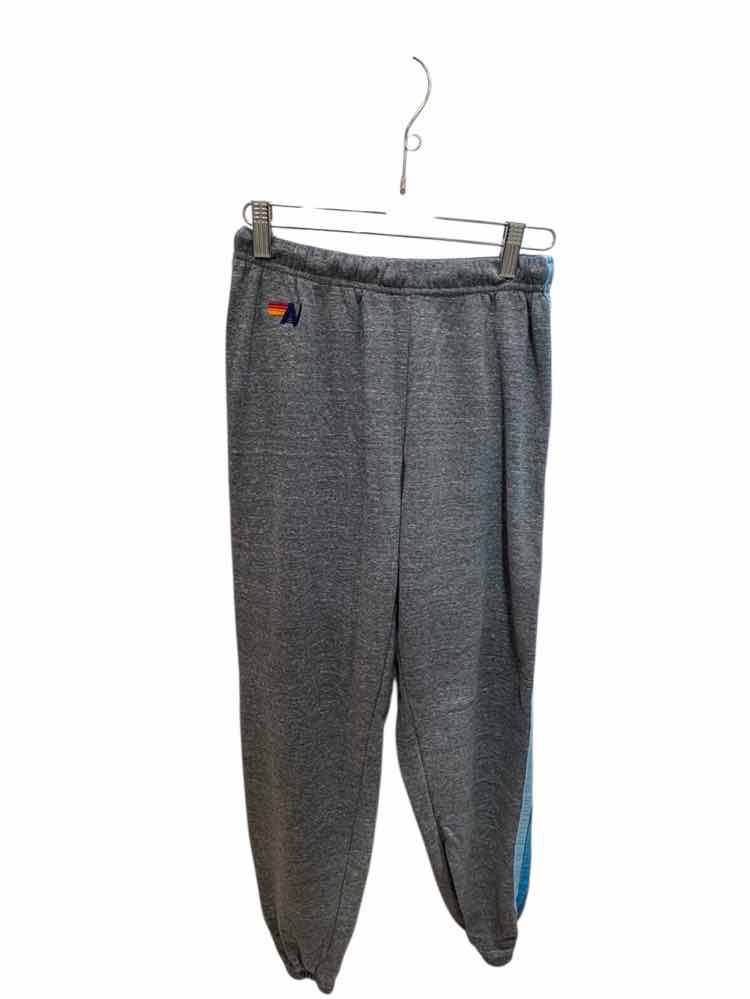 AviatorNation Grey and Blue Size S Sweatpants