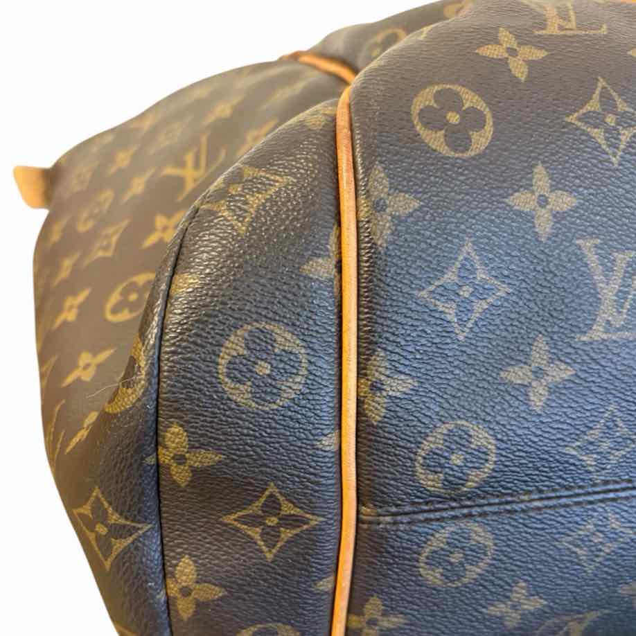 Louis Vuitton Brown and Tan Handbag