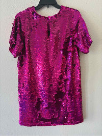 verb Fuschia Size S Dress